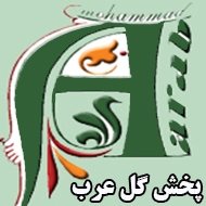پخش گل محمد عرب در مشهد