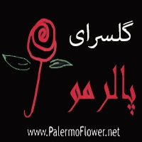 سوپر گل پاییزان پالرمو سابق در تهران
