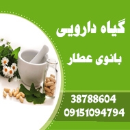 مشاور گیاهان دارویی و طب سنتی در مشهد