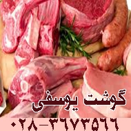 سوپر گوشت یوسفی در قزوین