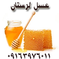 تولید کنندگان مواد غذایی عسل در خرم آباد