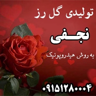 تولیدی گل رز نجفی در مشهد