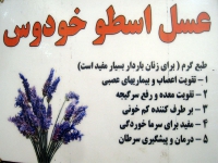 عسل شفابخش بینالود در مشهد