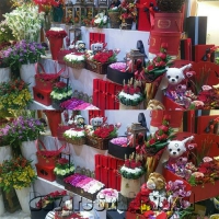 گل فروشی سیمین گل در مشهد