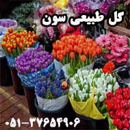 پخش گل طبیعی سون در مشهد