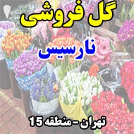 گل فروشی نارسیس در تهران