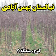 نهالستان بهمن آبادی در کرج