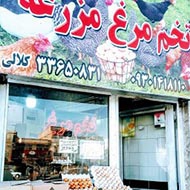 فروش و پخش تخم مرغ مزرعه کلالی در مشهد