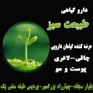 داروگیاهی طبیعت سبز در مشهد