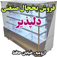 فروش یخچال صنعتی دلپذیر در ارومیه