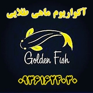 آکواریوم ماهی طلایی در مشهد