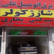 برق اتومبیل علی در مشهد