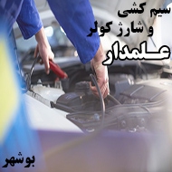 خدمات سیم کشی اتومبیل علمدار در بوشهر