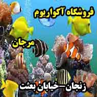 فروشگاه آکواریوم مرجان در زنجان