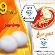 فروش تخم مرغ بسته بندی سیمبر در مشهد