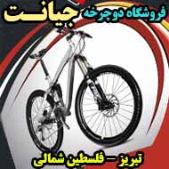 فروشگاه دوچرخه جیانت در تبریز 