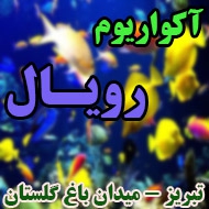 خدمات نصب و فروش آکواریوم رویال در تبریز