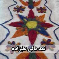 نمد مالی علیزاده در چناران