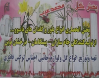 پخش گل محمد عرب در مشهد