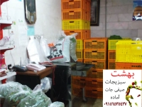 تولید و فروش سبزیجات و صیفی جات آماده در مشهد