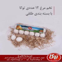 تخم مرغ بسته بندی و پاستوریزه در مشهد