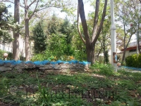 باغسرای سالمندان سلامتی در مشهد