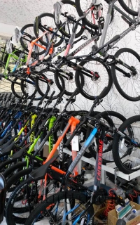 دوچرخه فروشی چرخ سبز در مشهد