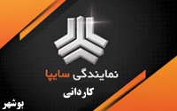 نمایندگی سایپا کاردانی در بوشهر