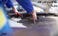 سیم کشی خودرو  پارسا در تهران