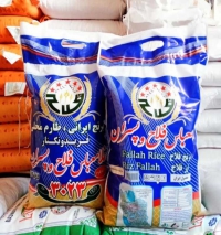 فروش و پخش برنج شالیزار در مشهد