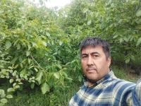 باغ پهلوان محمدمهدی راستگر در مشهد