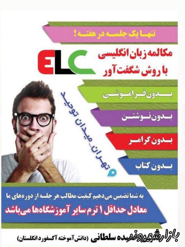 آموزش زبان حمیده سلطانی در تهران