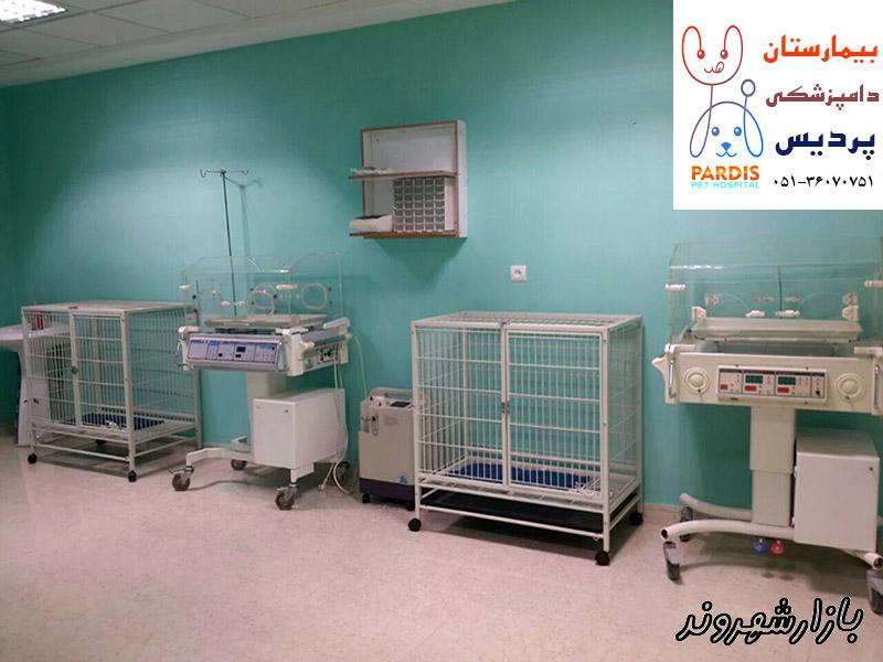 بیمارستان تخصصی حیوانات خانگی و پرندگان زینتی مشهد