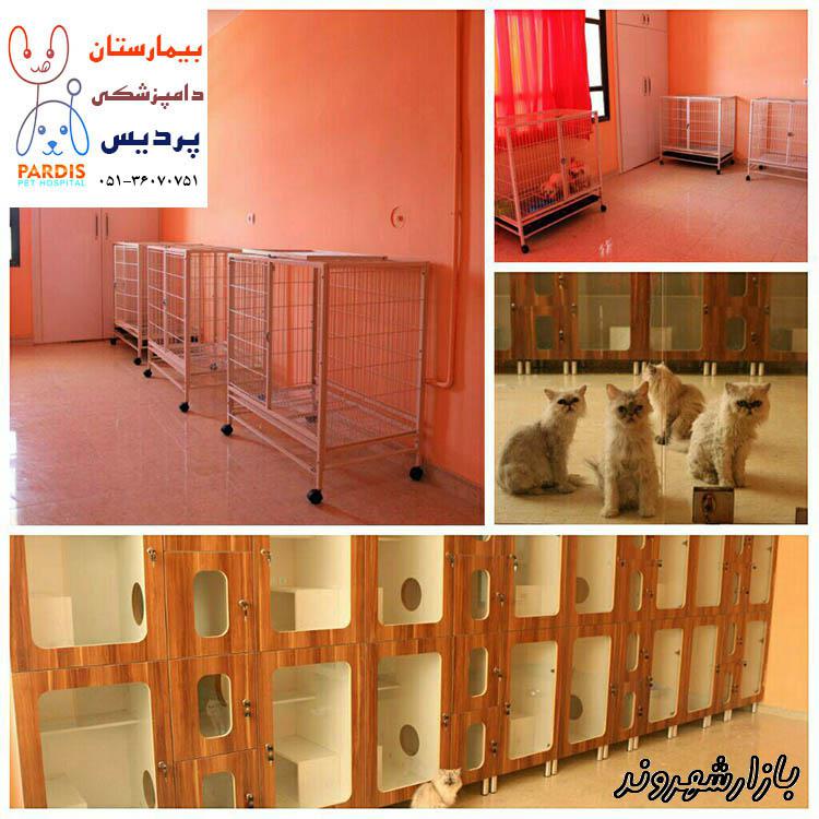 بیمارستان تخصصی حیوانات خانگی و پرندگان زینتی مشهد