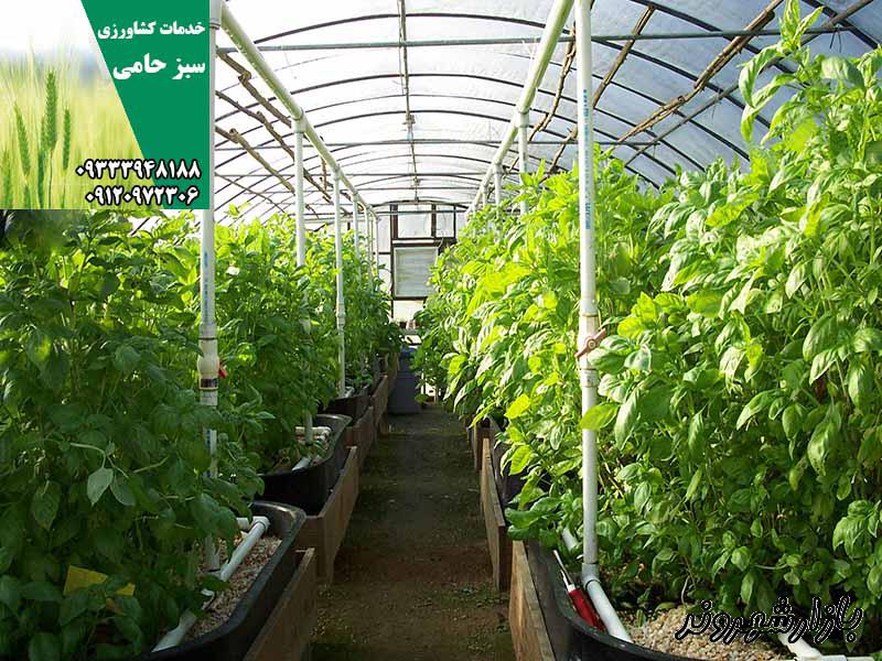 خدمات کشاورزی سبز حامی مشهد