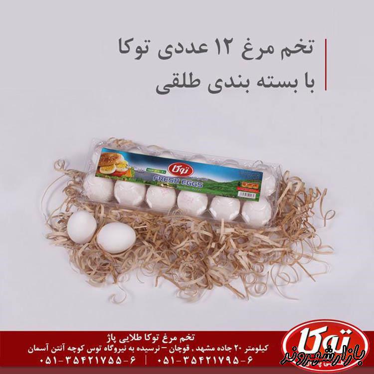 تخم مرغ بسته بندی و پاستوریزه در مشهد