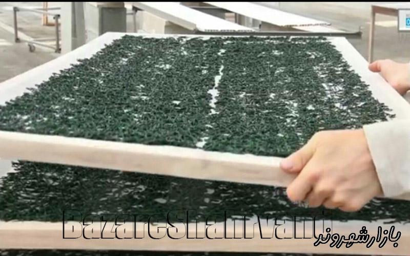 آموزش تولید و فروش جلبک اسپیرولینا در مشهد