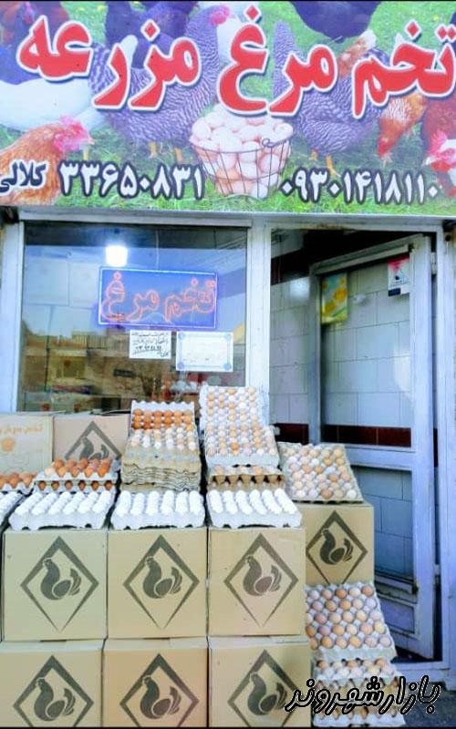 فروش و پخش تخم مرغ مزرعه کلالی در مشهد