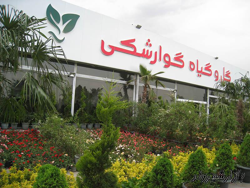 گل و گیاه و نهالستان گوارشکی در مشهد