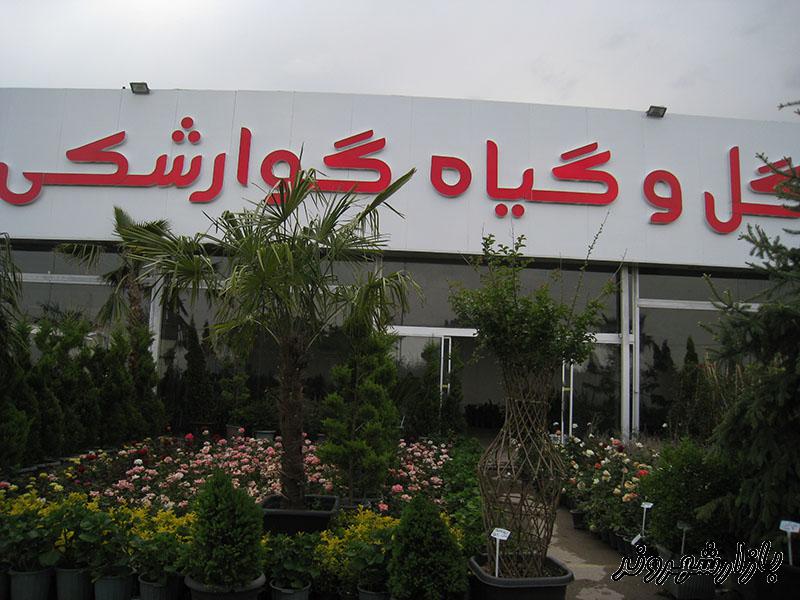 گل و گیاه و نهالستان گوارشکی در مشهد